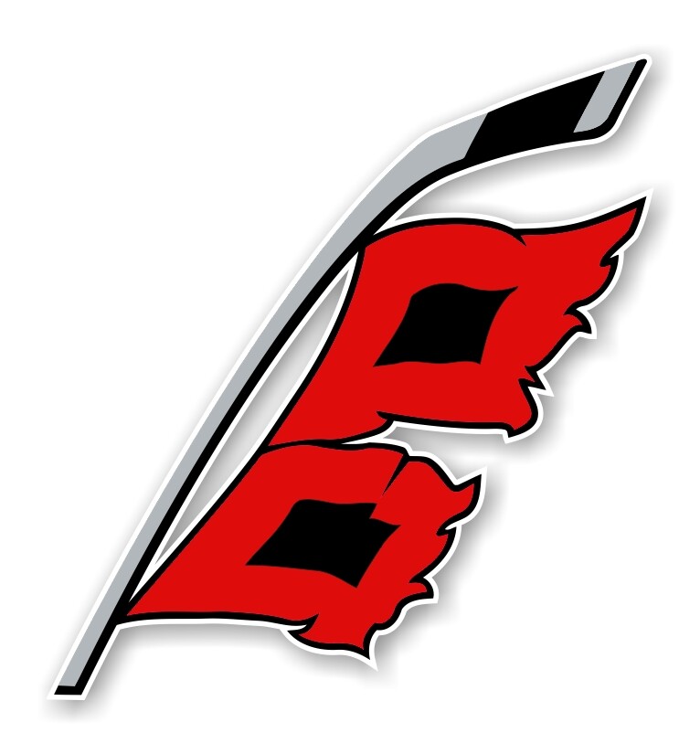 Carolina Hurricanes Precision Cut Decal / Sticker