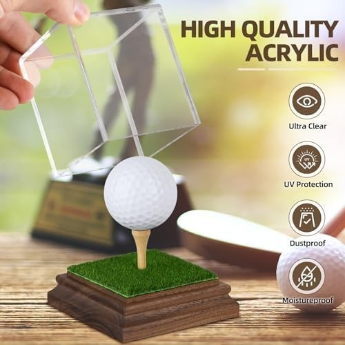 Golf Ball Display Case Hole in One Golf Ball Display Case Holder Wanult Wood Bas