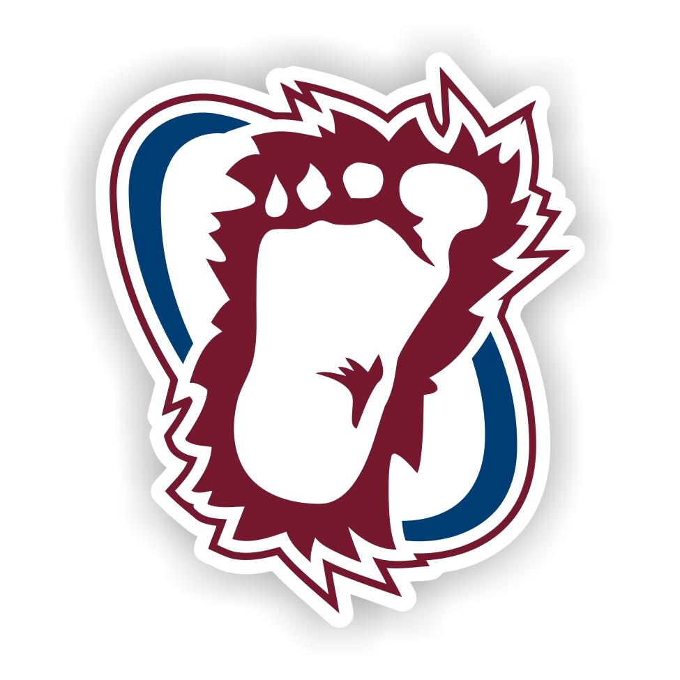 Colorado Avalanche Precision Cut Decal / Sticker